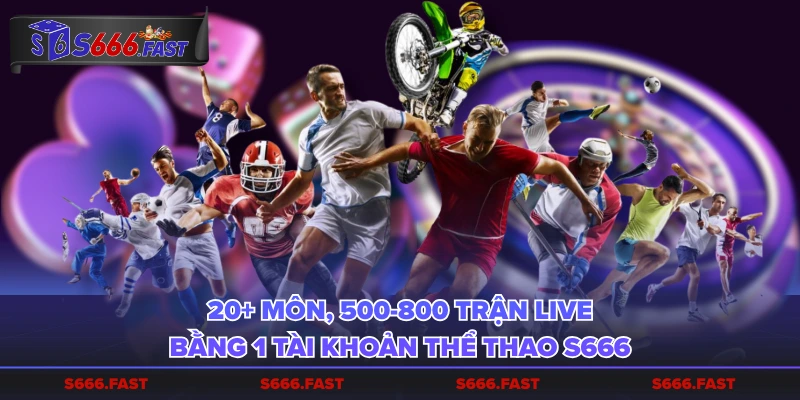 20+ môn, 500-800 trận live bằng 1 tài khoản Thể Thao S666