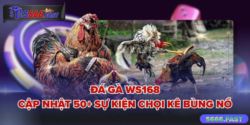 Đá gà WS168